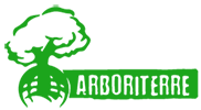 Arboritterre